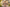 Kampanjbanner